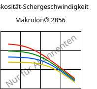 Viskosität-Schergeschwindigkeit , Makrolon® 2856, PC, Covestro