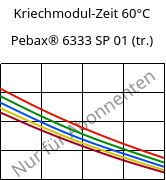 Kriechmodul-Zeit 60°C, Pebax® 6333 SP 01 (trocken), TPA, ARKEMA