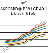  pvT , AKROMID® B28 LGF 40 1 L black (6155), (PA6+PP)-GF40, Akro-Plastic