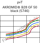  pvT , AKROMID® B28 GF 50 black (5746), PA6-GF50, Akro-Plastic