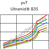  pvT , Ultramid® B3S, PA6, BASF