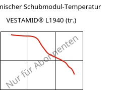 Dynamischer Schubmodul-Temperatur , VESTAMID® L1940 (trocken), PA12, Evonik