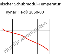 Dynamischer Schubmodul-Temperatur , Kynar Flex® 2850-00, PVDF, ARKEMA