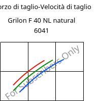 Sforzo di taglio-Velocità di taglio , Grilon F 40 NL natural 6041, PA6, EMS-GRIVORY