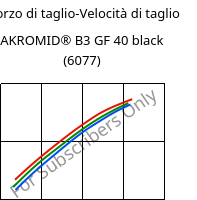 Sforzo di taglio-Velocità di taglio , AKROMID® B3 GF 40 black (6077), PA6-GF40, Akro-Plastic