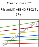 Creep curve 23°C, Rilsamid® AESNO P302 TL (dry), PA12, ARKEMA