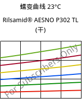 蠕变曲线 23°C, Rilsamid® AESNO P302 TL (烘干), PA12, ARKEMA