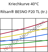 Kriechkurve 40°C, Rilsan® BESNO P20 TL (trocken), PA11, ARKEMA