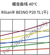 蠕变曲线 40°C, Rilsan® BESNO P20 TL (烘干), PA11, ARKEMA