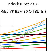 Kriechkurve 23°C, Rilsan® BZM 30 O T3L (trocken), PA11-GF30, ARKEMA