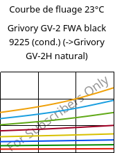 Courbe de fluage 23°C, Grivory GV-2 FWA black 9225 (cond.), PA*-GF20, EMS-GRIVORY