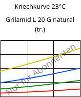 Kriechkurve 23°C, Grilamid L 20 G natural (trocken), PA12, EMS-GRIVORY
