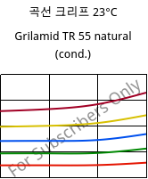곡선 크리프 23°C, Grilamid TR 55 natural (응축), PA12/MACMI, EMS-GRIVORY