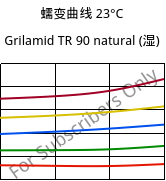 蠕变曲线 23°C, Grilamid TR 90 natural (状况), PAMACM12, EMS-GRIVORY