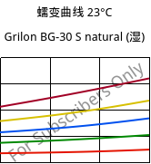 蠕变曲线 23°C, Grilon BG-30 S natural (状况), PA6-GF30, EMS-GRIVORY