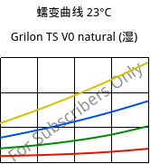 蠕变曲线 23°C, Grilon TS V0 natural (状况), PA666, EMS-GRIVORY