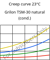 Creep curve 23°C, Grilon TSM-30 natural (cond.), PA666-MD30, EMS-GRIVORY