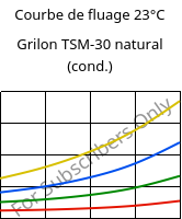 Courbe de fluage 23°C, Grilon TSM-30 natural (cond.), PA666-MD30, EMS-GRIVORY