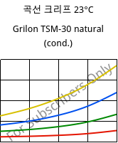 곡선 크리프 23°C, Grilon TSM-30 natural (응축), PA666-MD30, EMS-GRIVORY