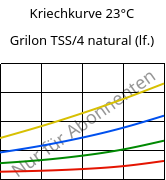 Kriechkurve 23°C, Grilon TSS/4 natural (feucht), PA666, EMS-GRIVORY