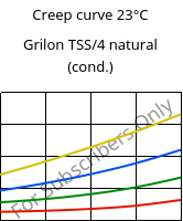 Creep curve 23°C, Grilon TSS/4 natural (cond.), PA666, EMS-GRIVORY