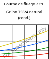 Courbe de fluage 23°C, Grilon TSS/4 natural (cond.), PA666, EMS-GRIVORY
