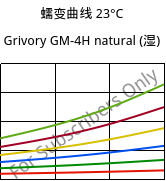 蠕变曲线 23°C, Grivory GM-4H natural (状况), PA*-MD40, EMS-GRIVORY