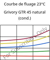Courbe de fluage 23°C, Grivory GTR 45 natural (cond.), PA6I/6T, EMS-GRIVORY