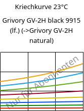 Kriechkurve 23°C, Grivory GV-2H black 9915 (feucht), PA*-GF20, EMS-GRIVORY