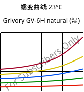 蠕变曲线 23°C, Grivory GV-6H natural (状况), PA*-GF60, EMS-GRIVORY