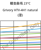 蠕变曲线 23°C, Grivory HTV-4H1 natural (状况), PA6T/6I-GF40, EMS-GRIVORY