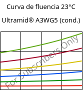 Curva de fluencia 23°C, Ultramid® A3WG5 (cond.), PA66-GF25, BASF
