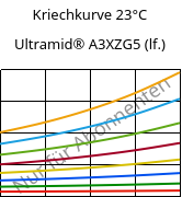 Kriechkurve 23°C, Ultramid® A3XZG5 (feucht), PA66-I-GF25 FR(52), BASF