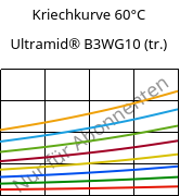 Kriechkurve 60°C, Ultramid® B3WG10 (trocken), PA6-GF50, BASF