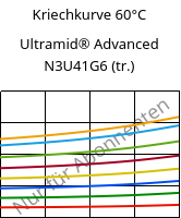 Kriechkurve 60°C, Ultramid® Advanced N3U41G6 (trocken), PA9T-GF30 FR(40), BASF