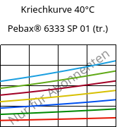 Kriechkurve 40°C, Pebax® 6333 SP 01 (trocken), TPA, ARKEMA