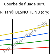 Courbe de fluage 80°C, Rilsan® BESNO TL NB (sec), PA11, ARKEMA