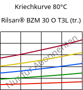 Kriechkurve 80°C, Rilsan® BZM 30 O T3L (trocken), PA11-GF30, ARKEMA