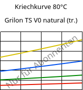 Kriechkurve 80°C, Grilon TS V0 natural (trocken), PA666, EMS-GRIVORY