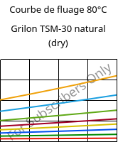 Courbe de fluage 80°C, Grilon TSM-30 natural (sec), PA666-MD30, EMS-GRIVORY