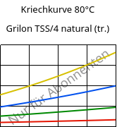 Kriechkurve 80°C, Grilon TSS/4 natural (trocken), PA666, EMS-GRIVORY
