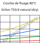 Courbe de fluage 80°C, Grilon TSS/4 natural (sec), PA666, EMS-GRIVORY
