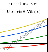 Kriechkurve 60°C, Ultramid® A3K (trocken), PA66, BASF