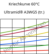 Kriechkurve 60°C, Ultramid® A3WG5 (trocken), PA66-GF25, BASF