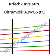 Kriechkurve 60°C, Ultramid® A3WG6 (trocken), PA66-GF30, BASF