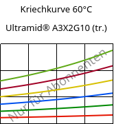 Kriechkurve 60°C, Ultramid® A3X2G10 (trocken), PA66-GF50 FR(52), BASF