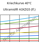 Kriechkurve 40°C, Ultramid® A3XZG5 (feucht), PA66-I-GF25 FR(52), BASF