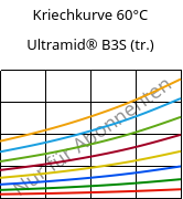 Kriechkurve 60°C, Ultramid® B3S (trocken), PA6, BASF