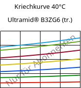 Kriechkurve 40°C, Ultramid® B3ZG6 (trocken), PA6-I-GF30, BASF
