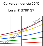 Curva de fluencia 60°C, Luran® 378P G7, SAN-GF35, INEOS Styrolution